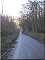 Long lane at Rexton Gorse