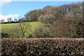 Bickleigh: Burn valley near Shotash Farm