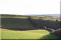 Silverton: farmland west of the village