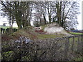 Meon Valley Railway Embankment