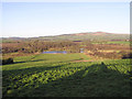 Botera Townland