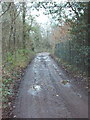 Marish Lane, near Denham