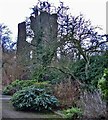 Remains of Netherhall, Roydon, Essex