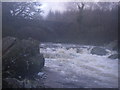 Borgan Bridge Rapid, River Minnoch