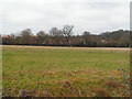 Farmland & edge of Earlswood