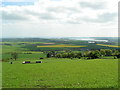 Balmullo area countryside