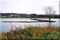 Messingham Sand Quarry Nature Reserve