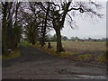 SJ8167 : Farms on Swettenham Heath by Colin Park
