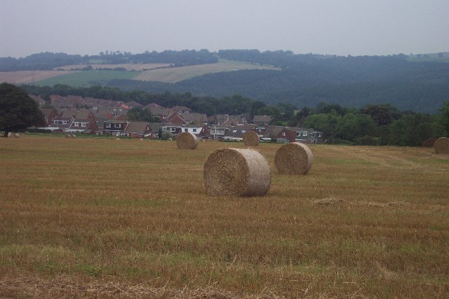 View to south over Lockhaugh Estate and toward Gibside Right on the rural-urban fringe. This typical cereal field was once four smaller fields. The stubble left behind after harvest is irresistible to a variety of birds.