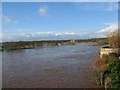 River Tweed in Flood