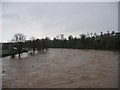 NT7233 : River Tweed in Flood by Hill Walker