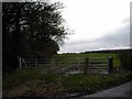 Field gate and trees