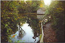 TQ0648 : Silent Pool, near Shere by Colin Smith