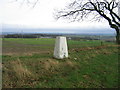 NZ2445 : Trig Point at Fyndoune with Durham City in background by Pangula