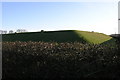 Barlborough Reservoir