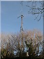 Mast behind the hedge