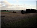 Fields north of Itchen Abbas