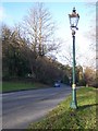 Gas Lamp, Malvern Common