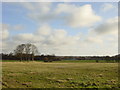 Looking across the field to Fluker