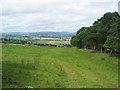 Newtown and Coquet Valley