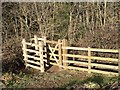 Kissing Gate above Colvithick Wood