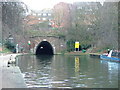 Light at the end of - Islington Tunnel - west end emerging from under Muriel Street.