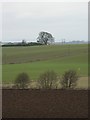 Ploughed field