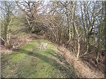 SO7637 : Iron Age Defences on Hollybush Hill by Bob Embleton