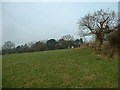 Farmland at Sullomside