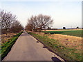 Blankney Fen