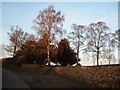 Cemetery, Heanley Lane, Hurley