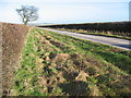 NW of Aunhamdale Farm