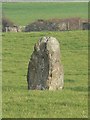 SH3181 : The Llanynghenedl Standing Stone, Anglesey. by Stephen Elwyn RODDICK
