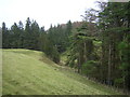 Ardoch Burn Gorge