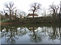 Prince Consort Pond, Windsor Great Park