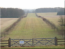 SU9571 : Looking south in Windsor Great Park by Andrew Smith