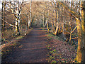 SP0385 : The Harborne Walkway by Phil Champion