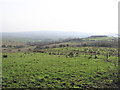 Tullyard Townland