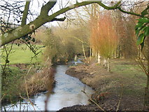 ST8743 : River Wylye by Phil Williams