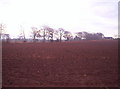 Ploughed field, looking towards a cottage