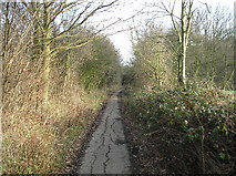 TL2205 : Dellsome Lane, Welham Green by Barry Lawson