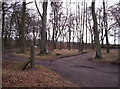 Car Park for West Woods of Ethie