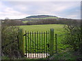 Pedestrian Entrance to Field