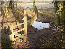 SU8949 : Stile and pond, Ash, Surrey by Humphrey Bolton