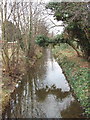 Longford River at Bedfont - water for Hampton Court