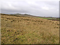 Leaghan Townland