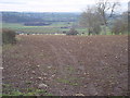 Farmland at Celleron