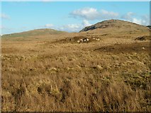 NR1955 : Hill land near Ballimony by Patrick Mackie