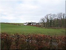 NS0959 : Bute, New Farm by william craig