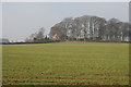 Farmland near Grantham